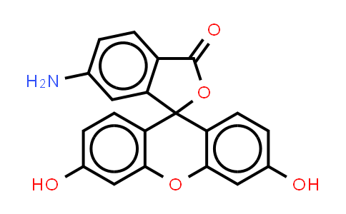 6-氨基熒光素