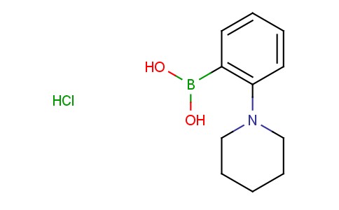 2-(piperidino)phenylboronic acid hydrochloride