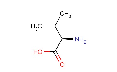D-α氨基异戊酸