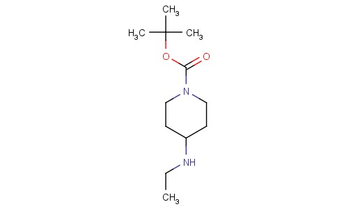 1-Boc-4-Ethylaminopiperidine