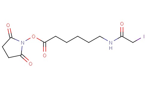 Succinimidyl-6-(iodoacetamido)caproate
