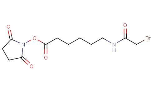 Succinimidyl-6-(bromoacetamido)caproate