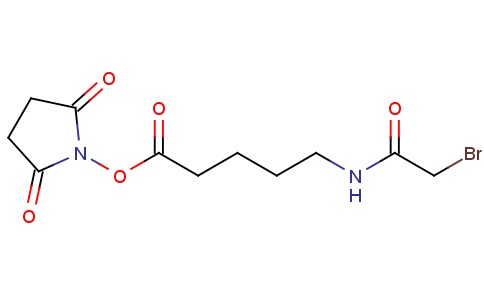 Succinimidyl-5-(bromoacetamido)pentanoate