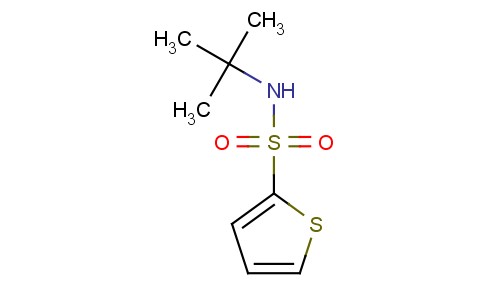 N-tert-butyl-2-thiophenesulfonamide