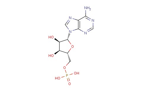 腺苷-5’-单磷酸