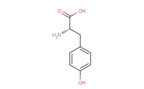(2S,3R)-2-氨基-3-对羟苯基丙酸