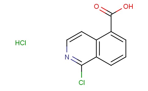 1-氯异喹啉-5-羧酸盐酸盐