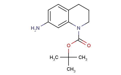 1(2H)-BOC-7-氨基-3,4-二氢喹啉