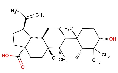 白桦脂酸