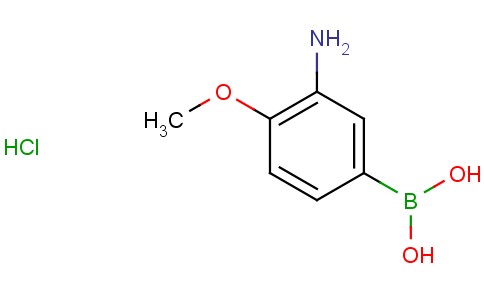 3-氨基-4-甲氧基苯硼酸盐盐酸