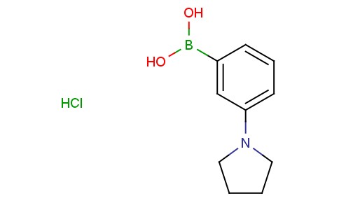 3-(吡咯烷基)苯硼酸盐酸盐