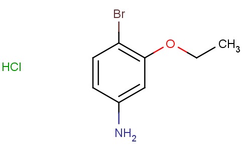 3-乙氧基-4-溴苯胺盐酸盐