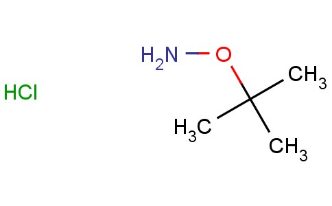 O-(Tert-butyl)hydroxylamine hydrochloride