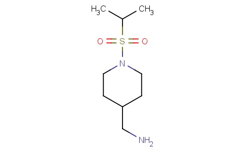 [1-(Propane-2-sulfonyl)piperidin-4-yl]methanamine