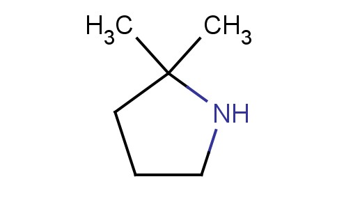 2,2-二甲基吡咯烷