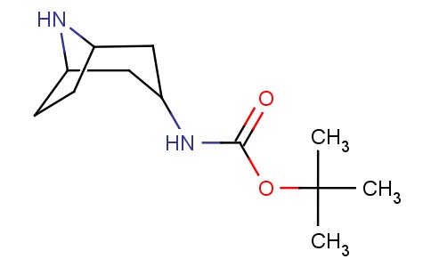 3-叔丁氧酰基氨基脱甲托品烷