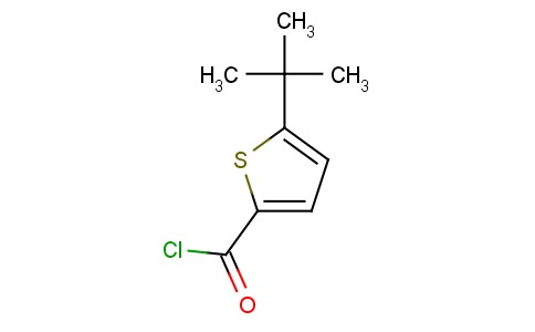 5-叔丁基噻吩-2-甲酰氯