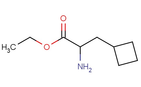 2-氨基-3-环丁基丙酸乙酯