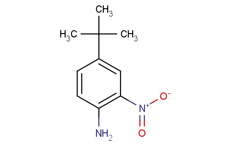 4-叔丁基-2-硝基苯胺