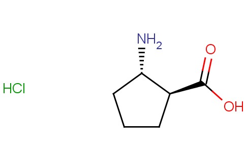 (1S,2S)-2-aminocyclopentanecarboxylic Acid Hydrochloride