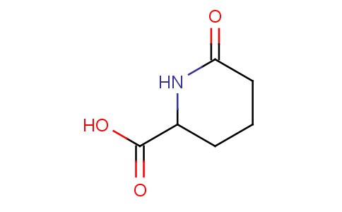 6-Oxo-pipecolinic acid