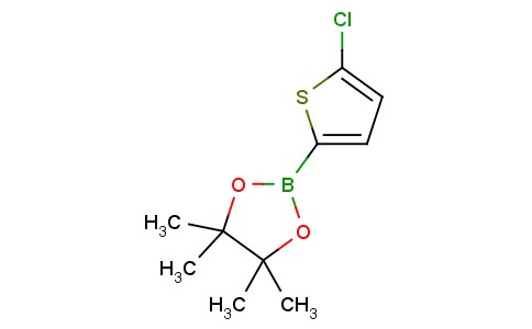 2-(5-Chlorothiophen-2-yl)-4,4,5,5-tetramethyl-1,3,2-dioxaborolane