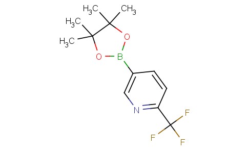 5-(4,4,5,5-Tetramethyl-1,3,2-dioxaborolan-2-yl)-2-(trifluoromethyl)pyridine