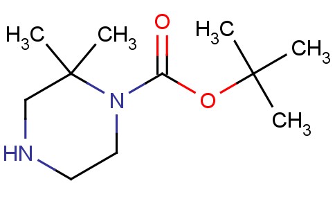 Tert-Butyl 2,2-dimethylpiperazine-1-carboxylate