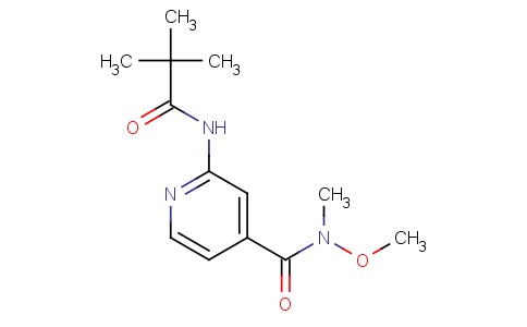 2-(2,2-二甲基-丙酰氨基)-N-甲氧基-N-甲基-异烟酰胺