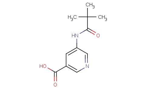 5-(2,2-Dimethyl-propionylamino)-nicotinic acid