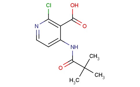 2-氯-4-新戊酰氨基烟酸