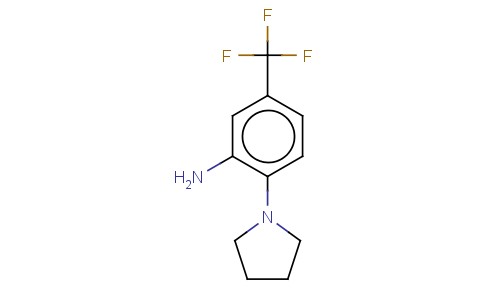 N-(2-氨基-4-三氟甲苯基)吡咯烷