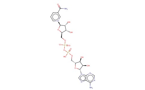 beta-Diphosphopyridine nucleotide