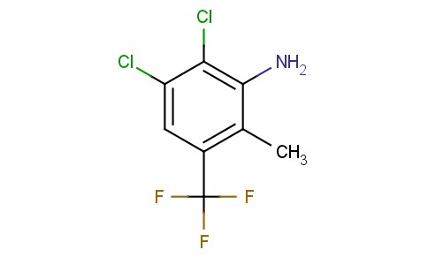 2,3-二氯-6-甲基-5-（三氟甲基）苯胺