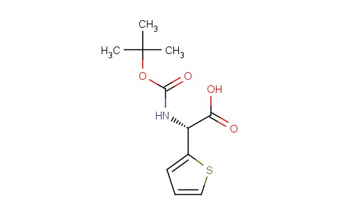 Boc-(R)-2-(2-噻吩基)-甘氨酸