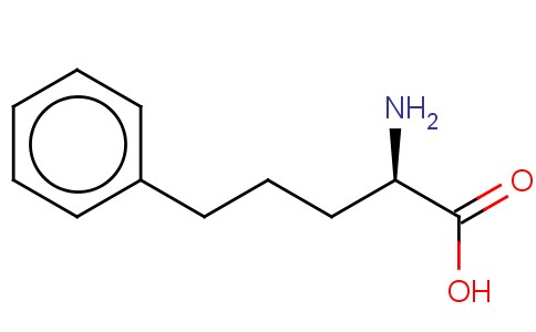 D-2-氨基-5-苯基戊酸