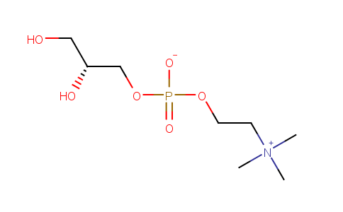 Sn-Glycero-3-phosphocholine(GPC)