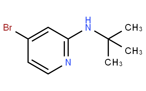 4-溴-2-(N-叔丁氨基)吡啶
