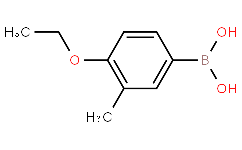 4-乙氧基-3-甲基苯硼酸