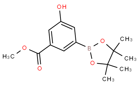 1004294-79-4 | methyl 3-hydroxy-5-(4,4,5,5-tetramethyl-1,3,2 ...