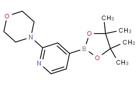 2-吗啉吡啶-4-硼酸频那醇酯