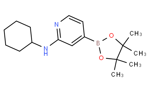 2-(环己基)-氨基-4-硼酸