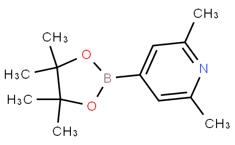 2,6-dimethyl-4-(4,4,5,5-tetramethyl-1,3,2-dioxaborolan-2-yl)pyridine