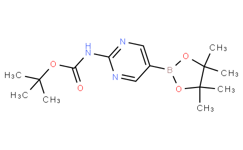 [2-(叔丁氧羰基氨基)嘧啶-5-基]硼酸频哪醇酯