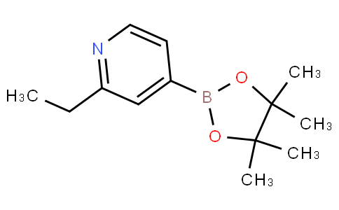 2-ethyl-4-(4,4,5,5-tetramethyl-1,3,2-dioxaborolan-2-yl)pyridine