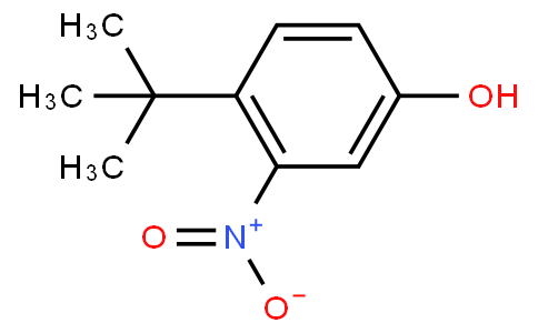 4-tert-butyl-3-nitrophenol