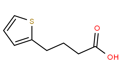 4-(2-噻吩基)丁酸
