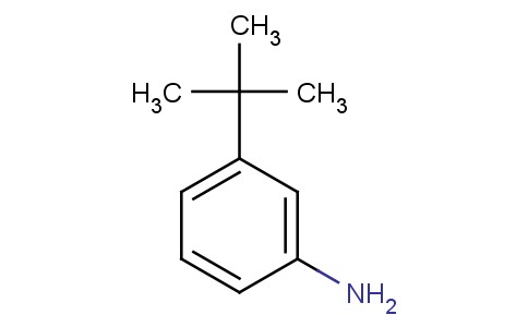 3-(Tert-butyl)aniline