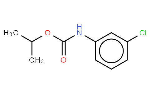 3-氯氨基甲酸异丙基酯