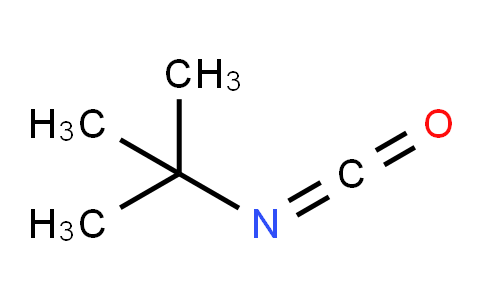 编号 :45648名称 :叔丁基异氰酸酯cas :1609